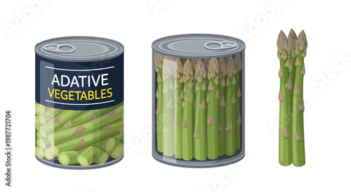 Canned Asparagus Illustration Set with Fresh Spears and Metal Tins