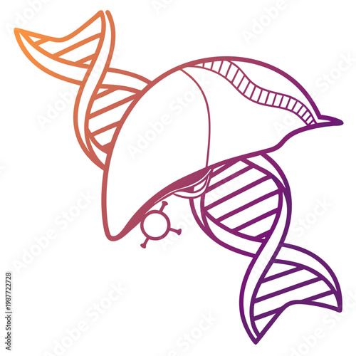 Canvas-taulu Genetic dna helix entwined with human liver art.
