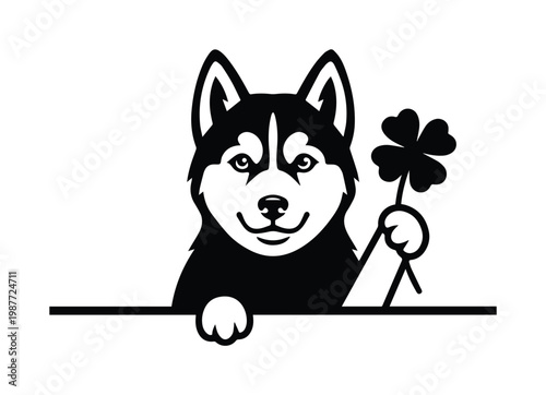 Siberian Husky dog holding four leaf clover, peeking husky puppy vector, lucky pet mascot icon