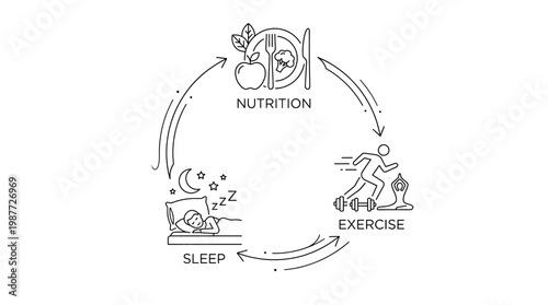 Healthy lifestyle cycle nutrition exercise sleep balance. Vector illustration. Isolated on a white background.
