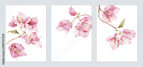 Foto Flower wall art set, minimalist stylized watercolor-style pink Bougainvillea flo