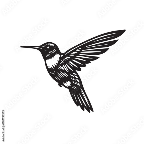 A modern vector art of a hummingbird hovering while flying, featuring dynamic wing movement, light composition, and elegant natural inspiration in artistic design form.