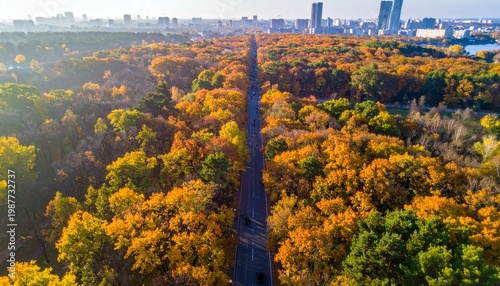Aerial view of autumn forest and road leading to city skyline.