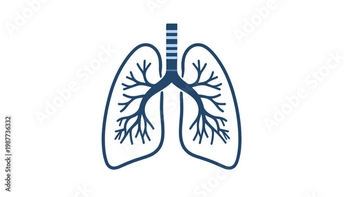 An illustrated representation of human lungs and the bronchial tree, symbolizing respiratory health and medical science