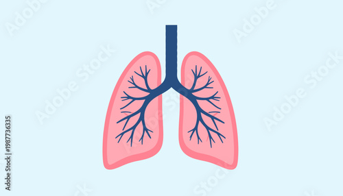 Line art icon illustrating human lungs and the respiratory system. Represents vital breath, health, and anatomical structure. Suitable for medical, scientific, and educational design