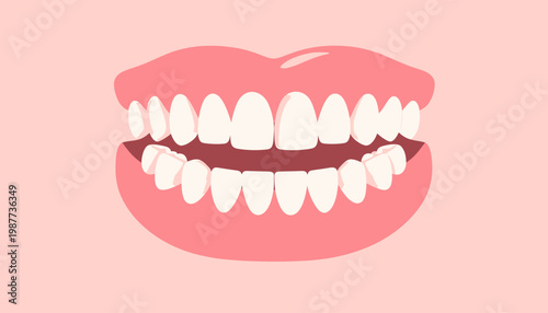 A Simple, Clean Illustration of Healthy Human Teeth and Gums Against a Soft Pink Background