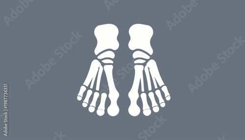 Abstract representation of human foot bones, symbolizing anatomy, health, and medical study with a minimalist aesthetic on a solid background
