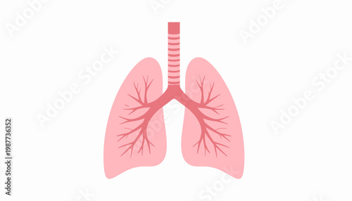 Vector illustration of a human hand showing the skeletal structure, highlighting carpal, metacarpal, and phalangeal bones in a clear, educational graphic design