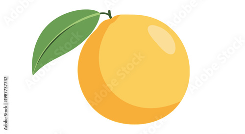 Fresh Yellow Orange Fruit Closeup.