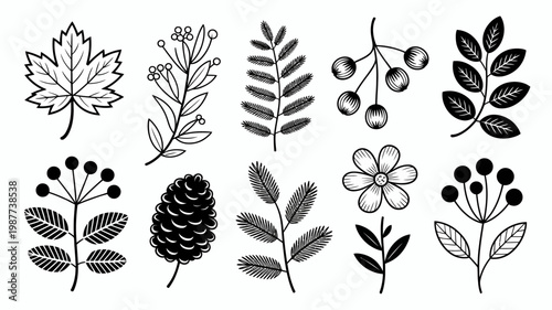 A collection of hand drawn botanical illustrations showcases various leaves flowers and berries in a simple black and white style high quality professional detailed modern elegant