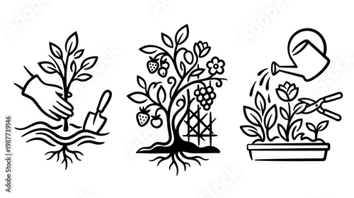 Gardening Icons Planting Growing and Watering Plants