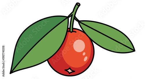 Fresh Red Cherry Fruit Closeup View.