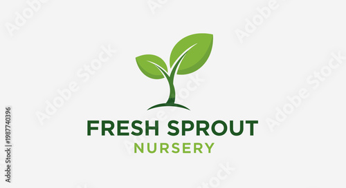 Green plant sprout with two leaves.