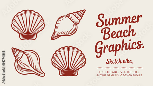 A vintage style graphic showcases four detailed red seashell illustrations alongside handwritten text reading summer beach graphics high quality professional modern elegant stylish clean crisp vibrant