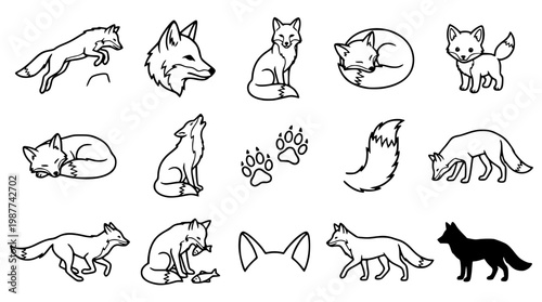Fox vector illustration set with various poses and designs