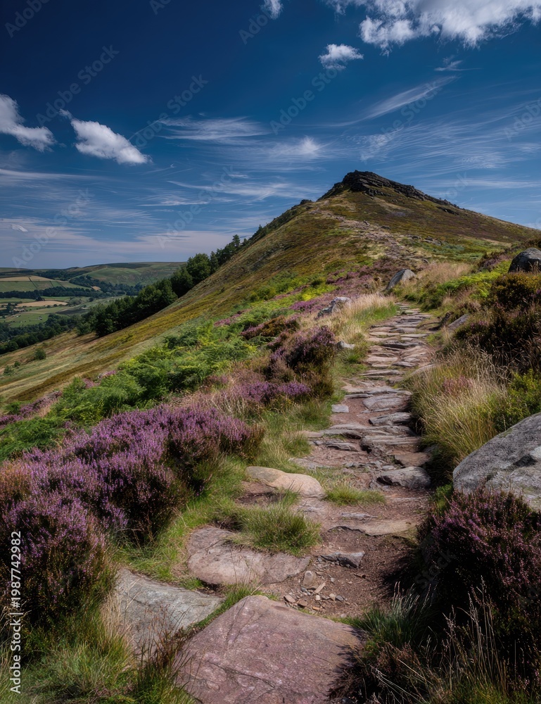 Obraz premium Scenic trail ascends a grassy mountain, vibrant purple flowers line the path under blue skies