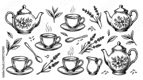 Vector illustration of tea cups and teapots with herbs