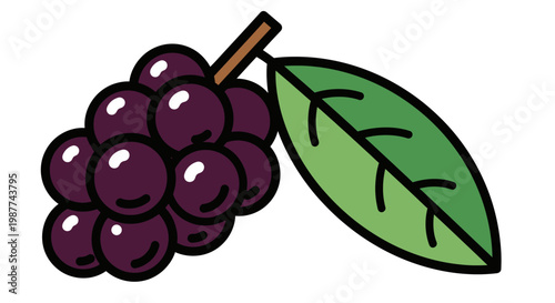 Purple grapes with green leaf stem.