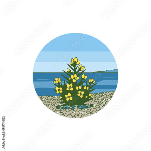 Coastal yellow flower on pebble beach circular illustration