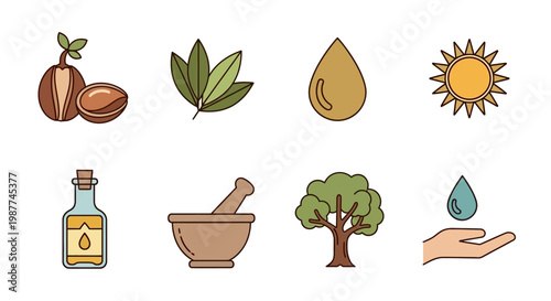 Argan Oil Production and Beauty Icon Set Flat Vector