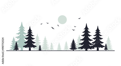 Black Silhouettes of Pine Trees Forest.