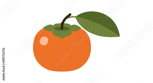Fresh Orange Fruit with Green Leaf 2.
