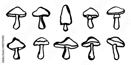 Hand drawn mushroom doodle set Botanical illustration Cute autumn mushroom Healthy eco food Organic vegetarian food For stickers, greeting card, design, print, packaging, decor, kids books