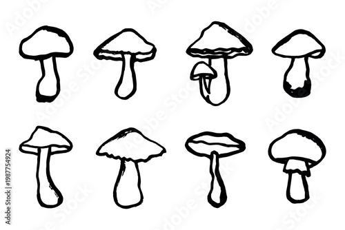 Hand drawn mushroom doodle set Botanical illustration Cute autumn mushroom Healthy eco food Organic vegetarian food For stickers, greeting card, design, print, packaging, decor, kids books