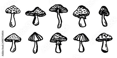 Hand drawn mushroom doodle set Botanical illustration Cute autumn mushroom Healthy eco food Organic vegetarian food For stickers, greeting card, design, print, packaging, decor, kids books