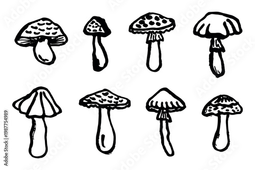Hand drawn mushroom doodle set Botanical illustration Cute autumn mushroom Healthy eco food Organic vegetarian food For stickers, greeting card, design, print, packaging, decor, kids books