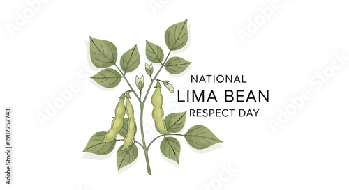 Illustrated on white for National Lima Bean Respect Day, a lima bean plant with green leaves and pods is depicted in a simple, vector style to celebrate healthy eating and the legume's