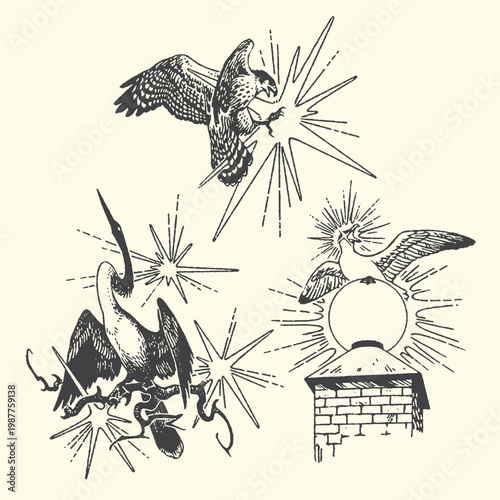 Birds of prey and cranes with starbursts vintage illustrations line art predator building structure starburst explosion movement wildlife illustration engraving strength aggressive