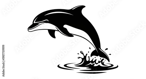 dolphin jumping in water