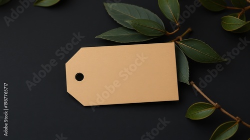 blank cardboard tag with green leaves on black background