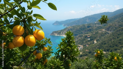 lemons on tree overlooking scenic coastal landscape with mountains