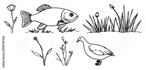 Save nature set with minimalist black line art on white background featuring environment, sustainability, conservation with nature icon and eco-friendly