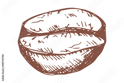Hand drawn fresh roasted coffee bean Arabica robusta seed doodle Single element for print, web, design, decor