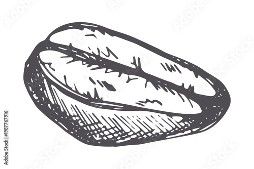 Hand drawn fresh roasted coffee bean Arabica robusta seed doodle Single element for print, web, design, decor