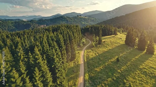 Aerial view of a scenic road winding through a lush green forest and rolling hills under sunlight