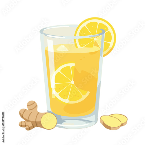 Healthy Ginger Lemon Tea in Glass with Fresh Ginger Root and Lemon Slices Vector Illustration