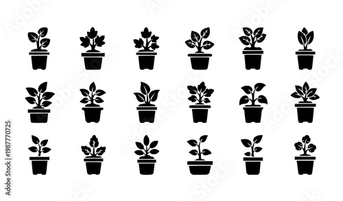 Potted plant silhouette icon set houseplants and saplings in pots vector illustration isolated on white background