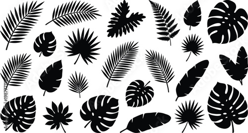 Collection of various tropical black leaf silhouettes on white background