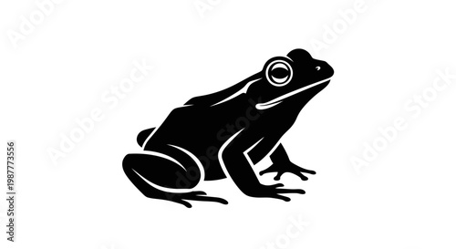 A macro shot of a wild green and brown frog isolated on a white background captures the detailed eye and skin of this natural amphibian wildlife