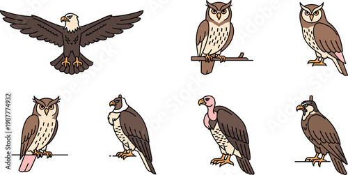 Bird of prey icon set featuring eagle owl vulture hawk falcon minimal vector collection for wildlife illustration design