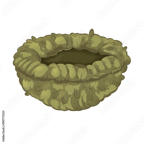 Bird's Nest Illustration