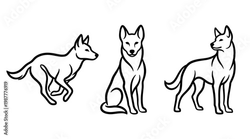 Line Art Dogs in Three Poses