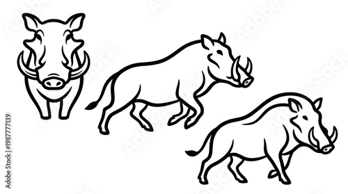 Warthog Outline Set Front View and Two Side Views