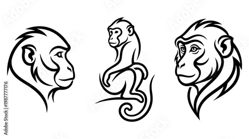 Set of Monkey Line Art Designs