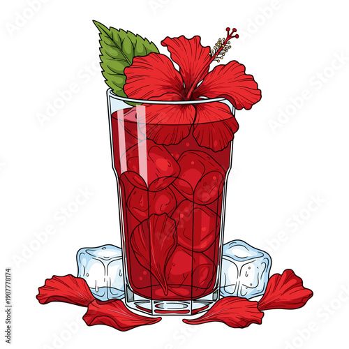 Hibiscus iced tea in elegant tropical vector illustration on white background