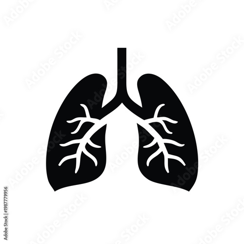 Elegant graphic illustration of the human respiratory system, showcasing the vital organ's branching airways